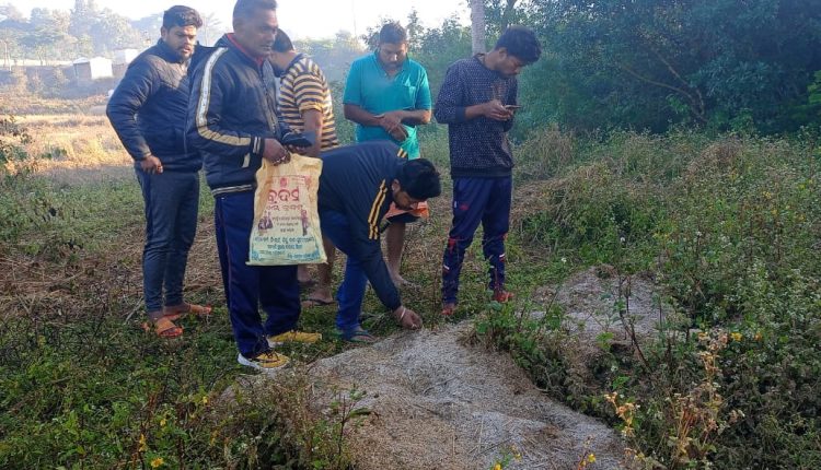 first_snowfall_in_Daringwadi